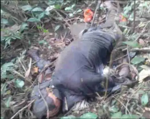 Horror! Hunter Shoots Colleague Dead After He Mistook Him For A Grasscutter (Photo)
